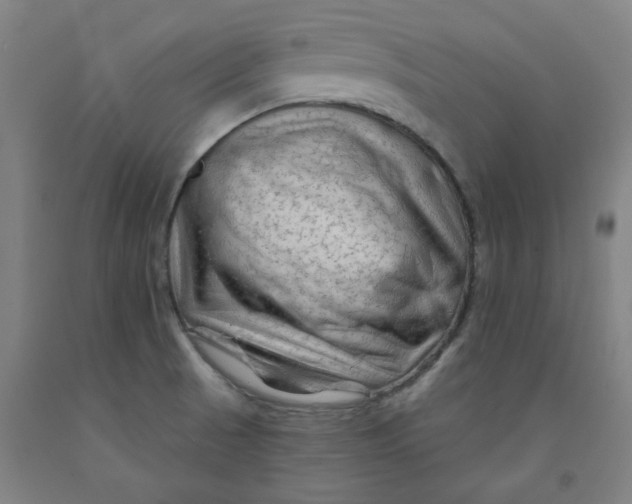 X0000091951521200709271315