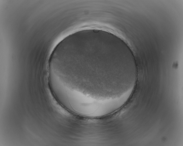 X0000091951522200709271315