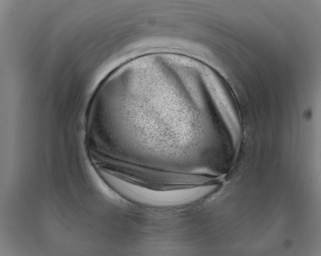 X0000091951523200709271315