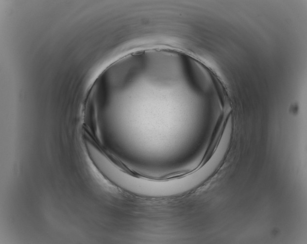 X0000091951524200709271315