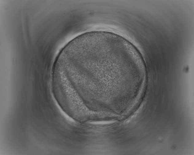 X0000091951525200709271315