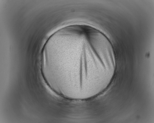 X0000091951526200709271315