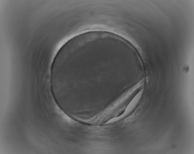 X0000091951527200709271316