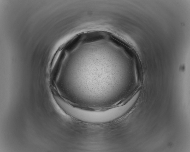 X0000091951528200709271316