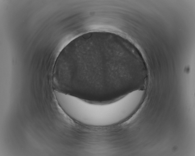 X0000091951529200709271316