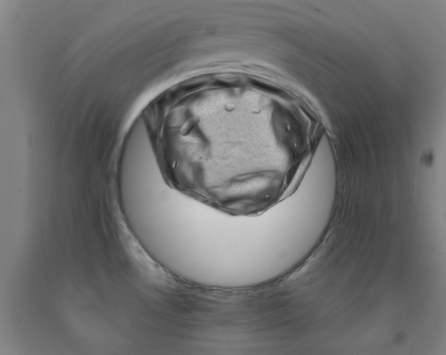 X0000091951530200709271316