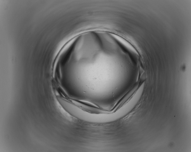 X0000091951532200709271316