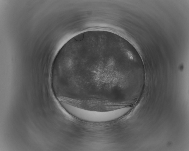 X0000091951533200709271316