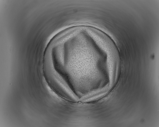 X0000091951534200709271316