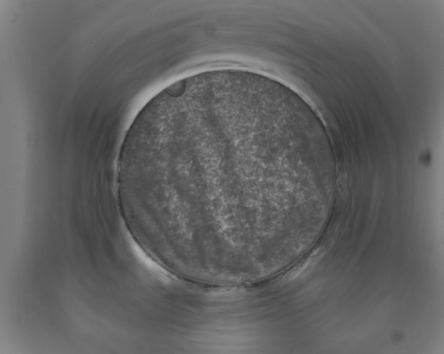 X0000091951535200709271316