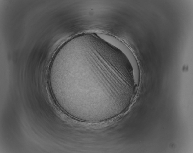X0000091950001200710041017