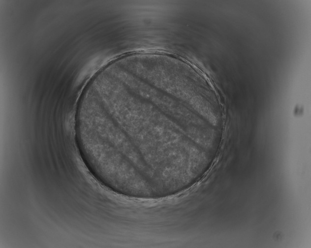 X0000091950002200710041017