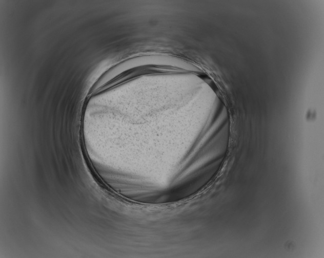 X0000091950003200710041017