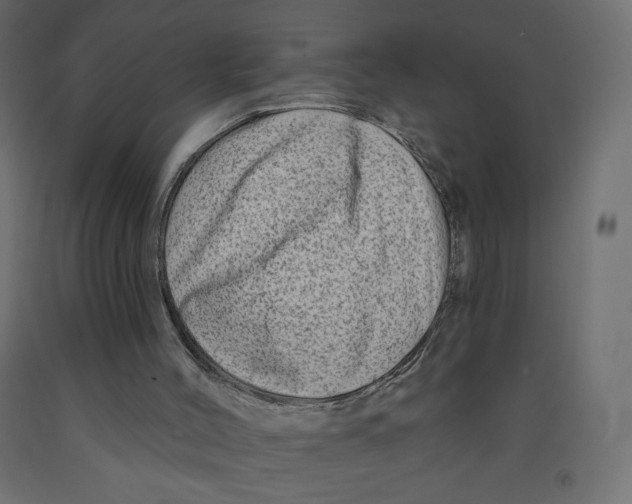 X0000091950004200710041017