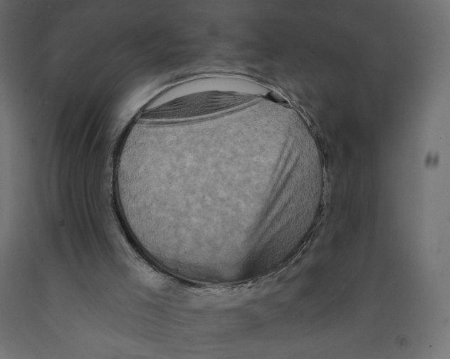 X0000091950005200710041017