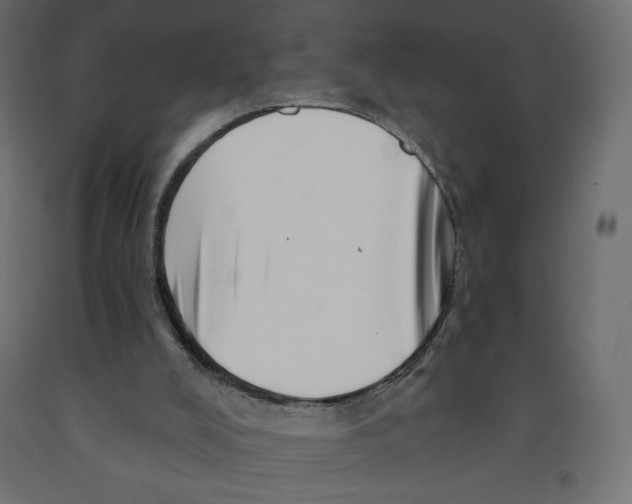 X0000091950008200710041017