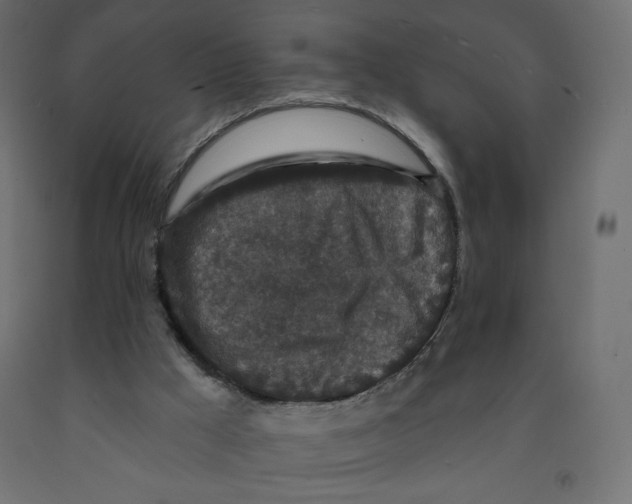 X0000091950009200710041017
