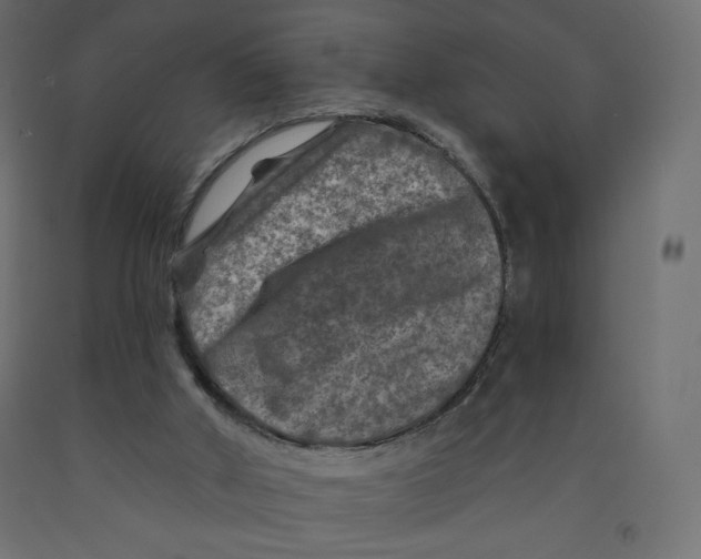 X0000091950010200710041017