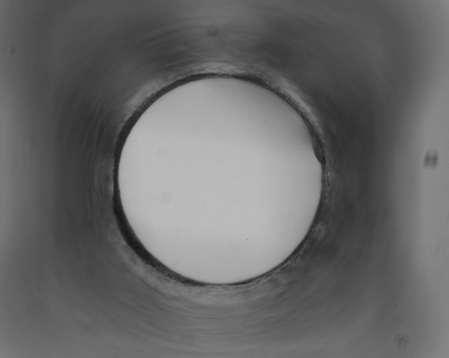 X0000091950011200710041017