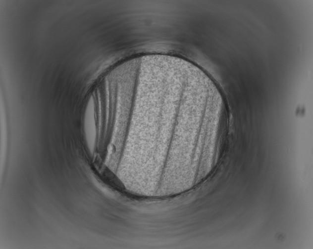 X0000091950013200710041017