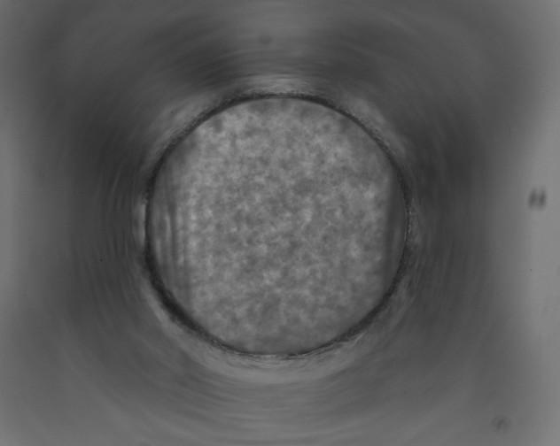 X0000091950014200710041017