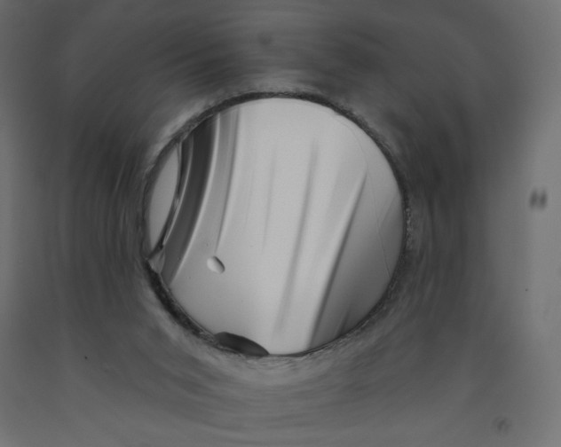 X0000091950015200710041017