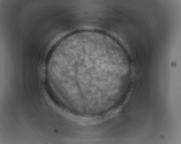 X0000091950016200710041017