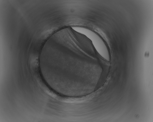 X0000091950017200710041017