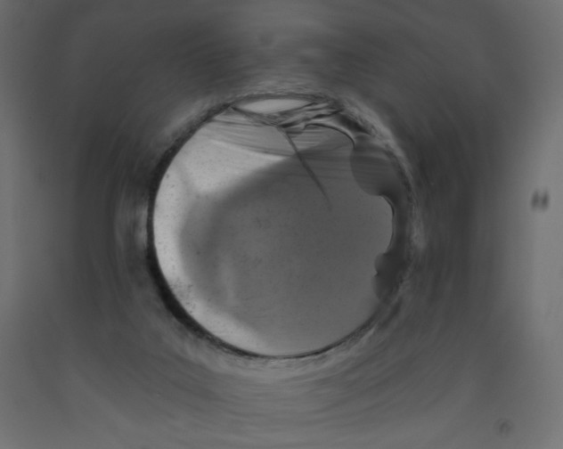 X0000091950019200710041017