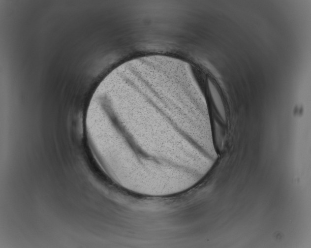 X0000091950020200710041017