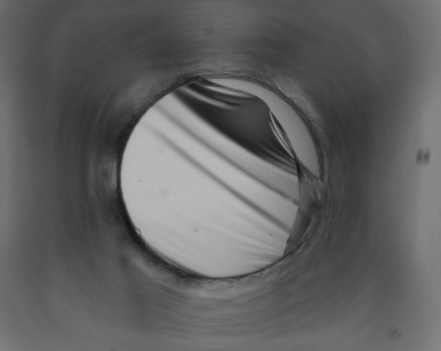 X0000091950021200710041017