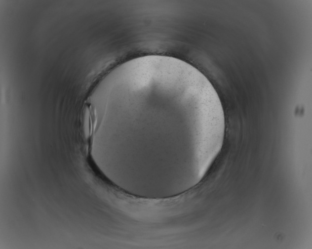 X0000091950023200710041017
