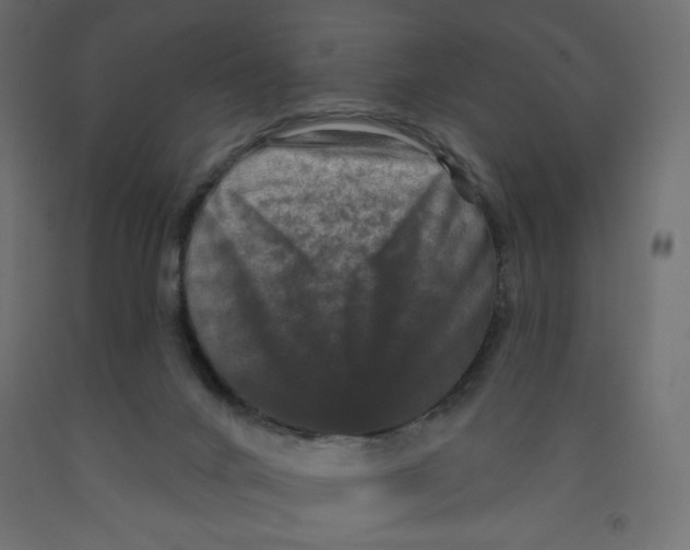 X0000091950024200710041017
