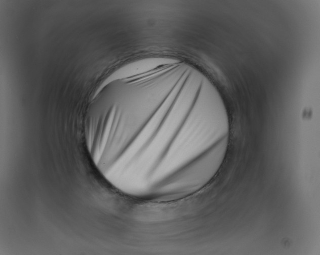 X0000091950025200710041017