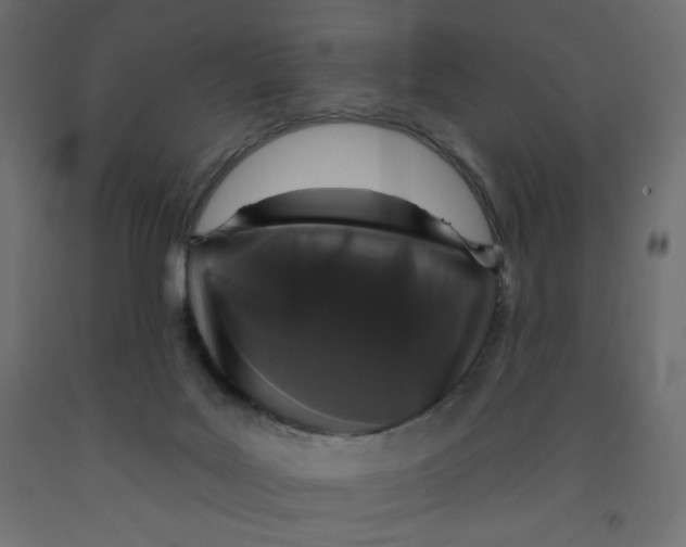 X0000091950027200710041017