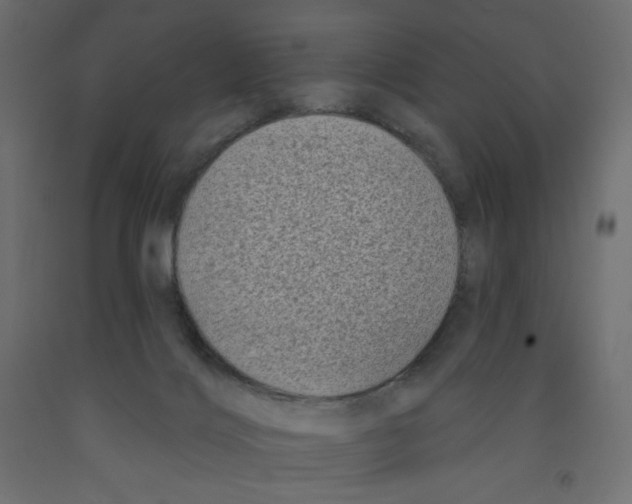 X0000091950028200710041017