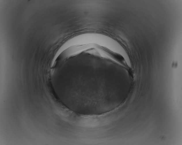 X0000091950029200710041017