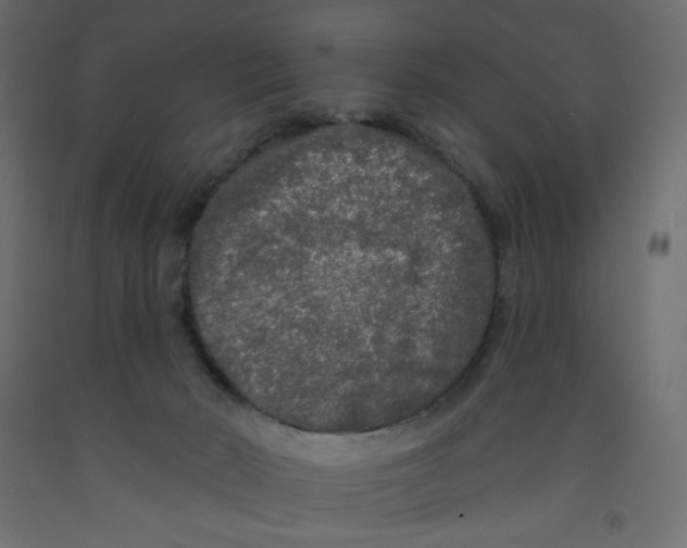 X0000091950030200710041017