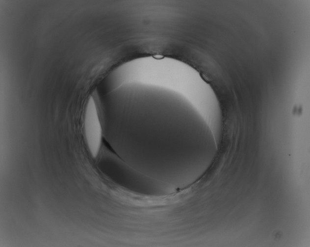 X0000091950031200710041017
