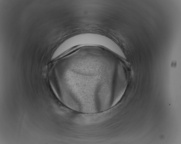 X0000091950033200710041017