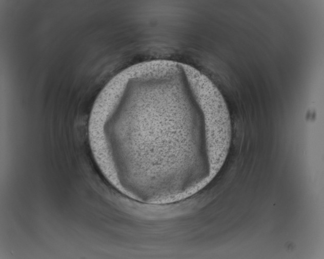X0000091950034200710041017