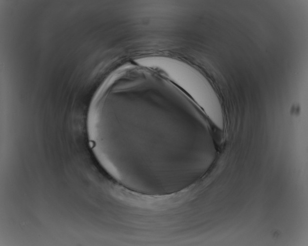 X0000091950035200710041017