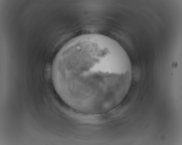 X0000091950036200710041017