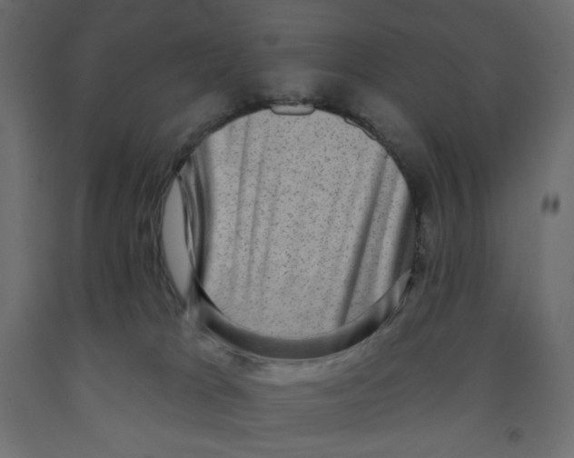 X0000091950037200710041017