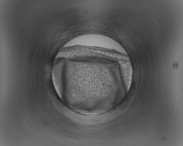 X0000091950038200710041017
