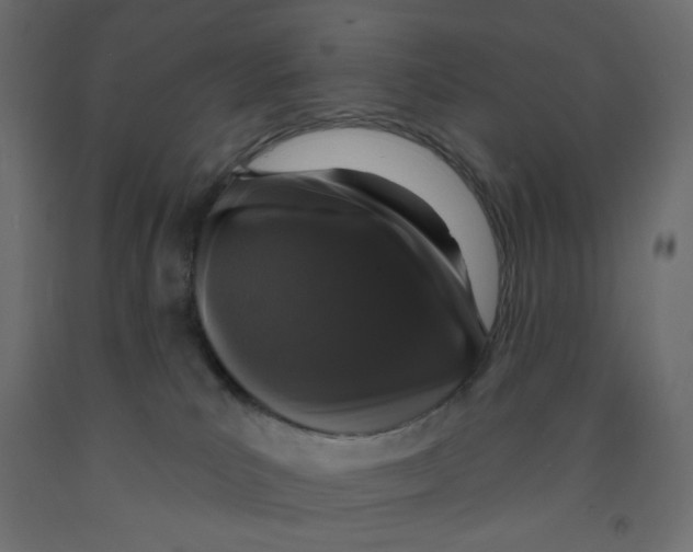 X0000091950039200710041017