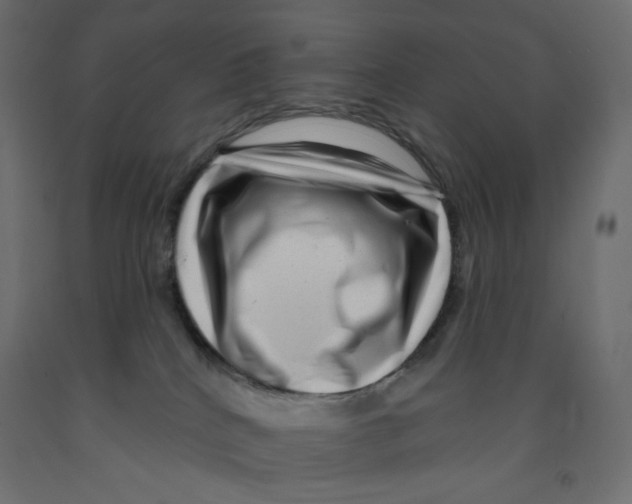 X0000091950040200710041017