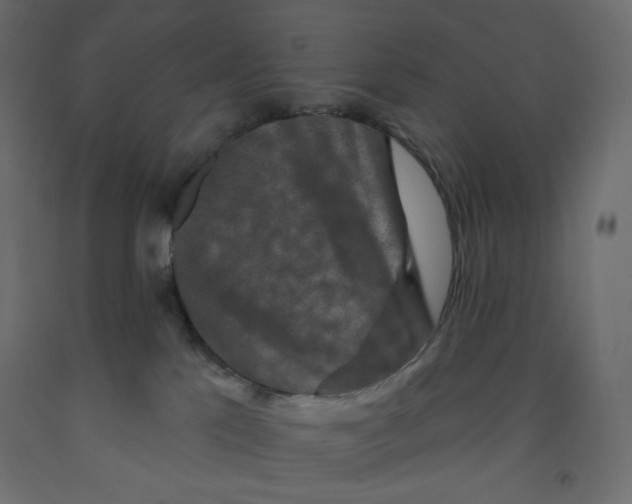 X0000091950041200710041017