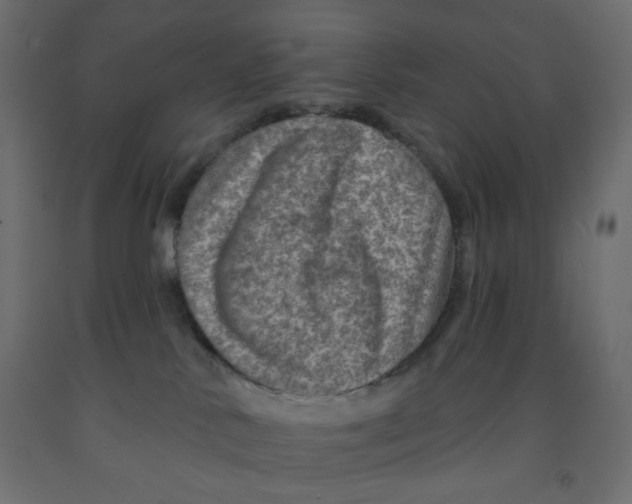 X0000091950042200710041017