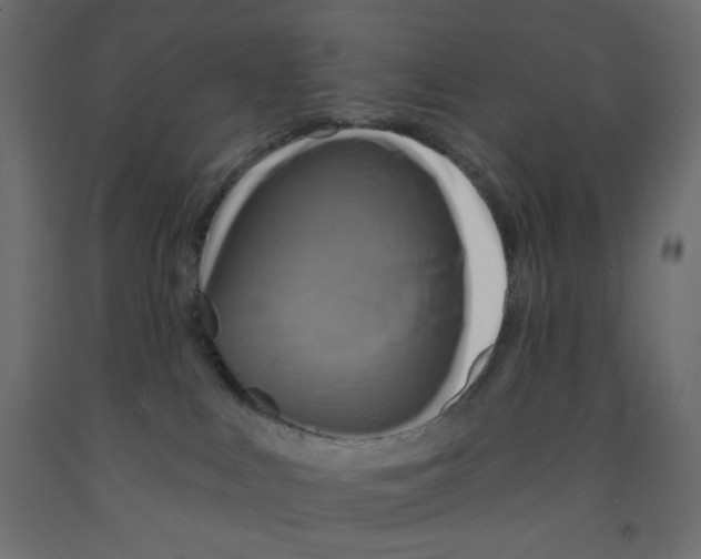 X0000091950043200710041017